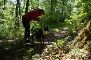 Training 24.05.2020 – Bechlingen 168